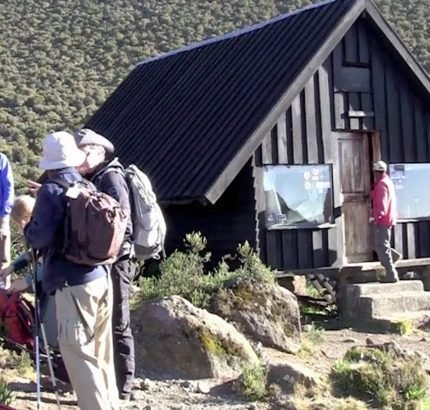 Almon Kilimanjaro