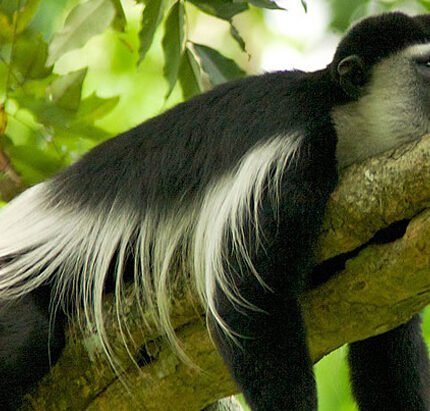 Arusha-national-park-s