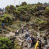 Climb-Kilimanjaro
